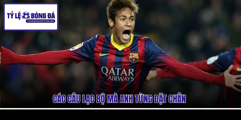 Các câu lạc bộ mà anh từng đặt chân