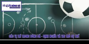 Các Vị Trí Trong Bóng Đá - Định Nghĩa Và Vai Trò Cụ Thể