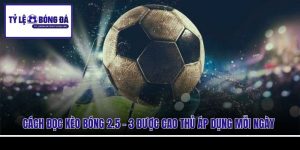 Cách Đọc Kèo Bóng 2.5 - 3 Được Cao Thủ Áp Dụng Mỗi Ngày
