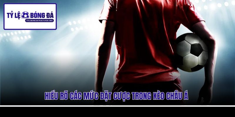 Hiểu rõ các mức đặt cược trong kèo Châu Á