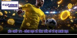 Kèo Chấp 1/2 - Cách Đọc Và Tính Tiền Có Ví Dụ Minh Họa