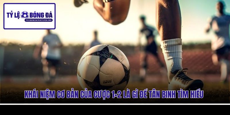 Khái niệm cơ bản của cược 1×2 là gì để tân binh tìm hiểu