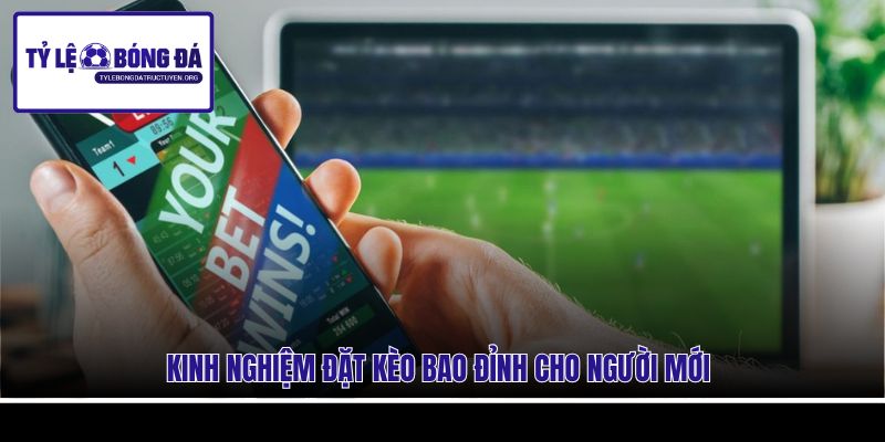 Kinh nghiệm đặt kèo bao đỉnh cho người mới