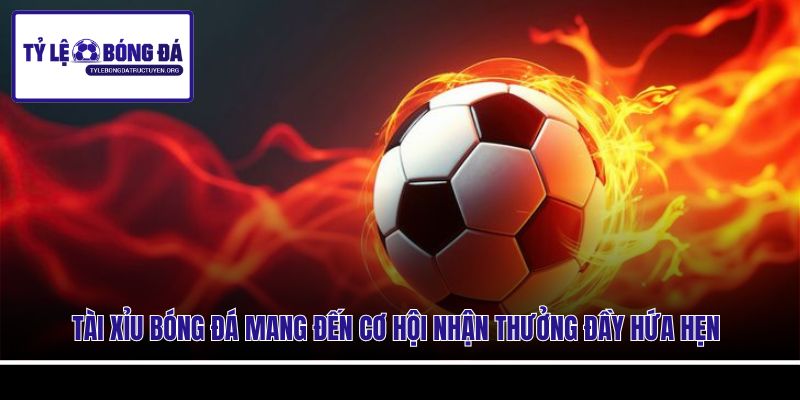 Tài Xỉu bóng đá mang đến cơ hội nhận thưởng đầy hứa hẹn