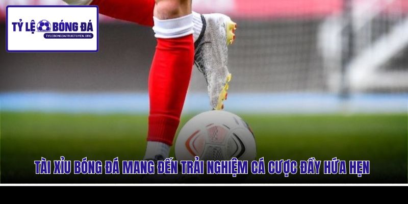 Tài Xỉu bóng đá mang đến trải nghiệm cá cược đầy hứa hẹn