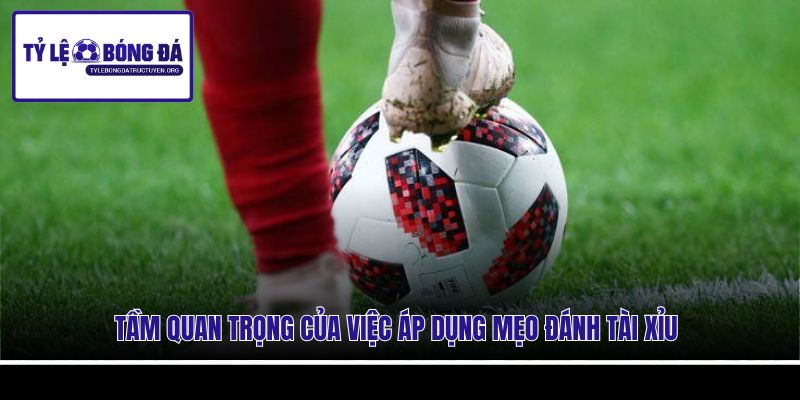 Tầm quan trọng của việc áp dụng mẹo đánh tài xỉu