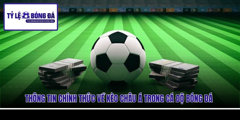 Thông tin chính thức về kèo Châu Á trong cá độ bóng đá