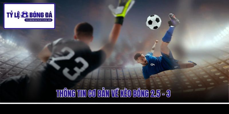 Thông tin cơ bản về kèo bóng 2.5 - 3