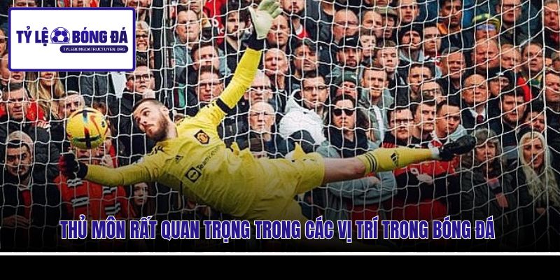 Thủ môn rất quan trọng trong các vị trí trong bóng đá