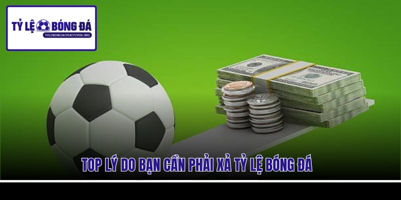 Top lý do bạn cần phải xả tỷ lệ bóng đá 