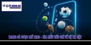 Trang Cá Cược Thể Thao - Tìm Hiểu Tiêu Chí Về Độ Tin Cậy